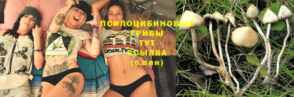 сатива Алзамай