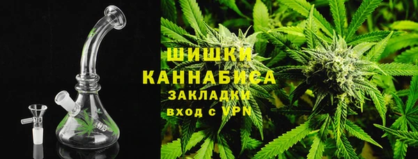 сатива Алзамай