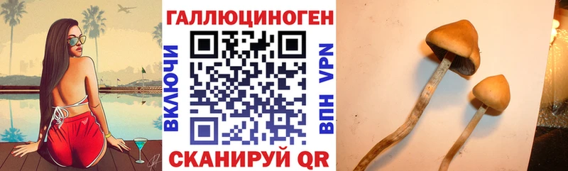 Псилоцибиновые грибы прущие грибы blacksprut ССЫЛКА Усть-Илимск