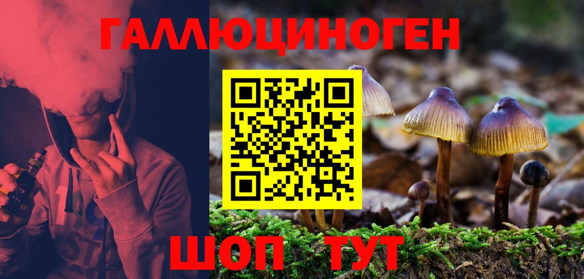 Псилоцибиновые грибы ЛСД  Вход с VPN  сколько стоит  Усть-Илимск 